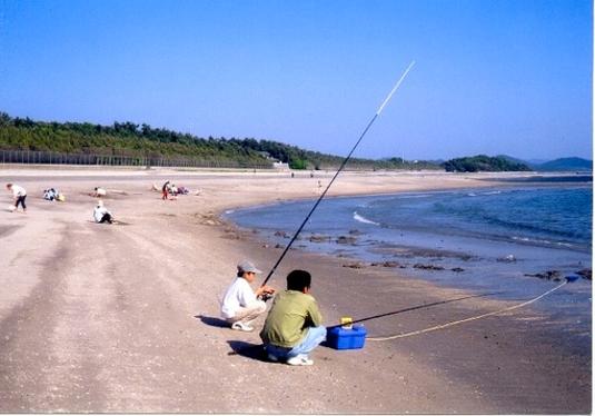 鹿児島 キス 釣り