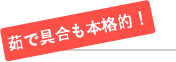 䥂ŋ{iII